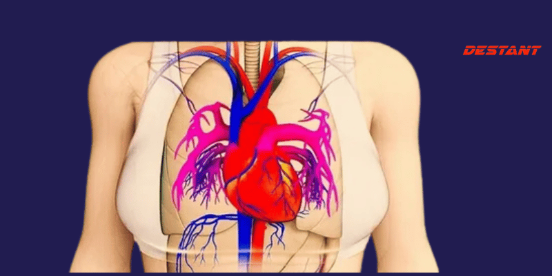 One Month Before a Heart Attack, Your Body Will Warn You – Here Are the 6 Signs