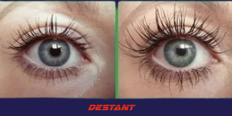 GROW YOUR EYELASHES & EYEBROWS IN JUST THREE DAYS !