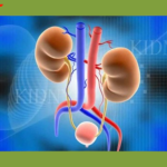 Kidney Removal Surgery – Dude Wheres My Kidney Tapestry