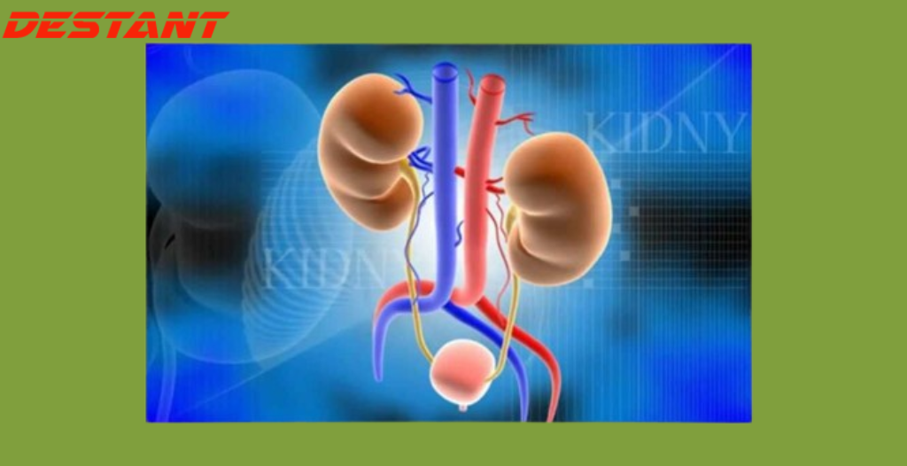 Kidney Removal Surgery – Dude Wheres My Kidney Tapestry