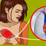 One Month Before a Heart Attack, Your Body Will Warn You – Here Are the 6 Signs