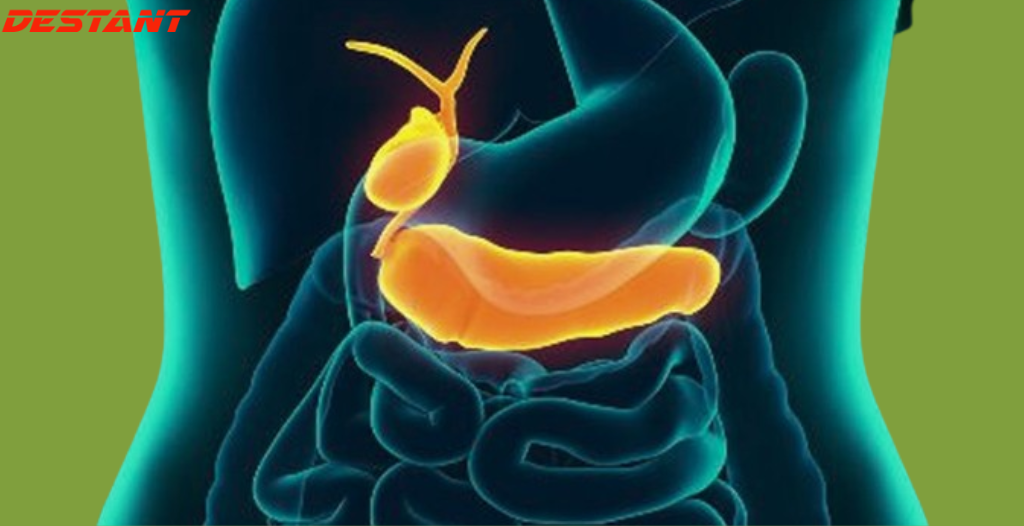 5 warning signs that your pancreas is in trouble