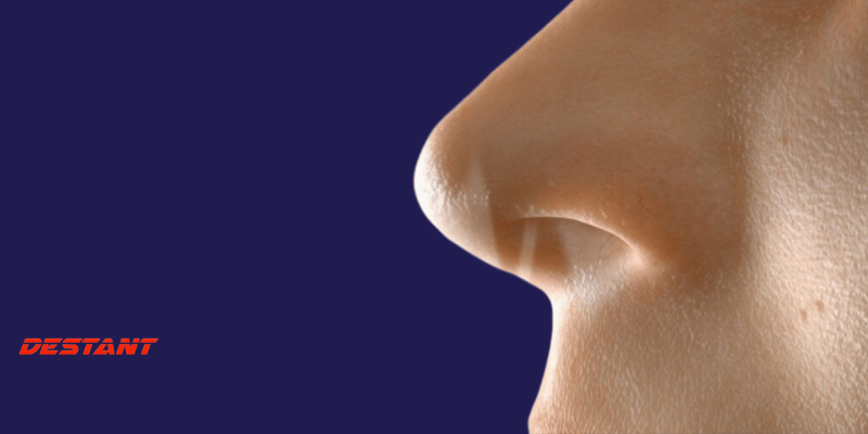 The Nose Knows: Unraveling the Enigmatic Link Between Your Sense of Smell and Mortality