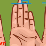 What do the three parts of the little finger say about your personality?