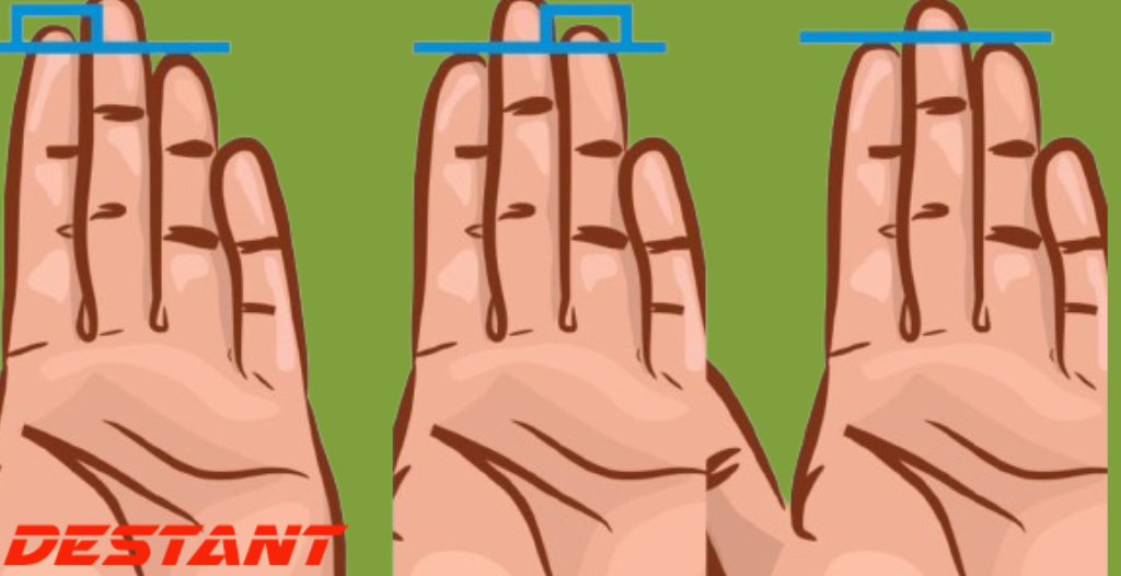 What do the three parts of the little finger say about your personality?