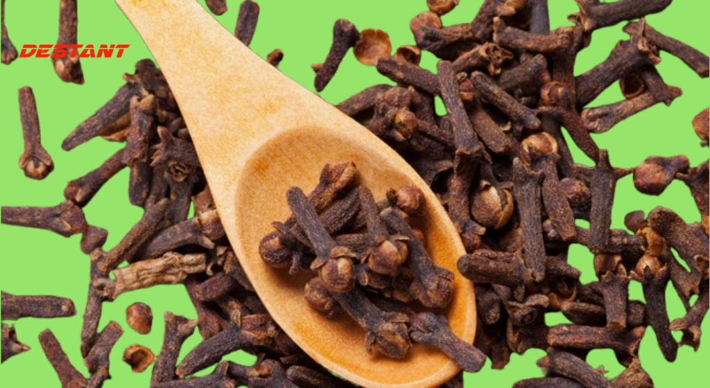 One’s Strength: Daily clove consumption for optimal health